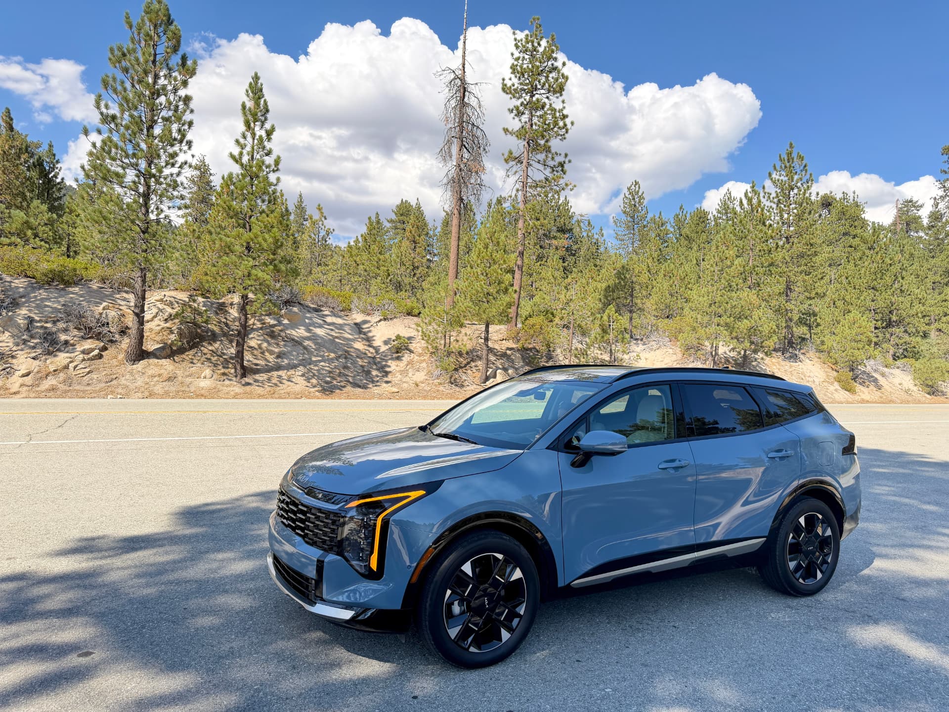 Blue 2026 Kia Sportage Hybrid on a paved road with pine trees and blue sky